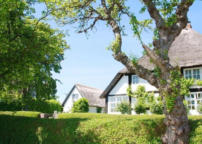 Gutshof Ostseeblick Ferienwohnung 03 Daire Neuendorf (Rugen)